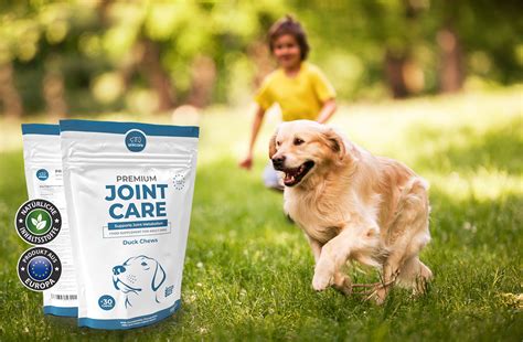 Premium Joint Care Von Anicare Im Test Gesunde Vierbeiner