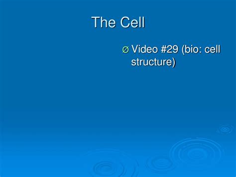 Ppt The Cell Powerpoint Presentation Free Download Id 9072452