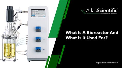 What Is A Bioreactor And What Is It Used For Atlas Scientific