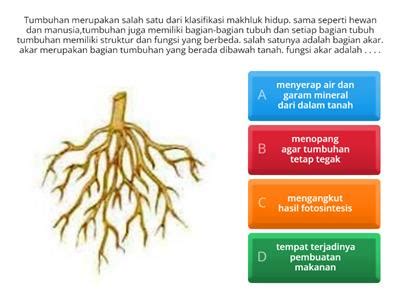 Soal Ipas Tumbuhan Sumber Daya Pengajaran