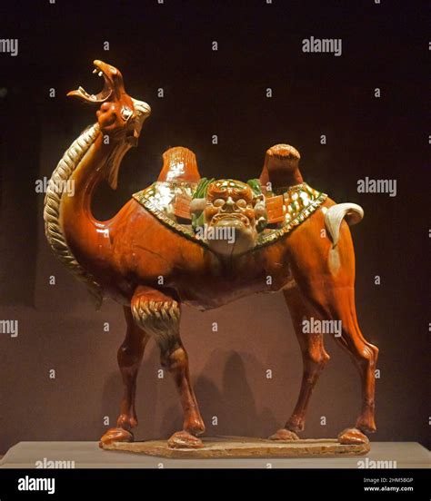 Tang Dynasty Camel Hi Res Stock Photography And Images Alamy