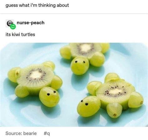 Just Some Kiwi Turtles To Make Your Day Good R Wholesomememes