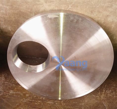 Non Standard Flange 2205 Custom Plate Flange Yaang