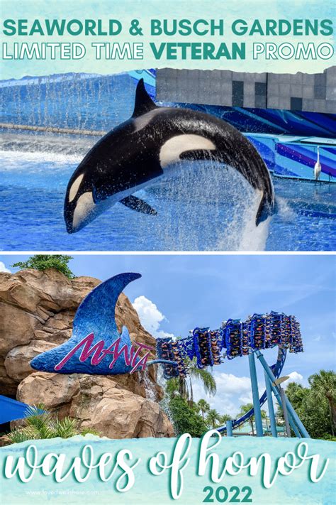 Seaworld Announced A Limited Time Update To Their Waves Of Honor