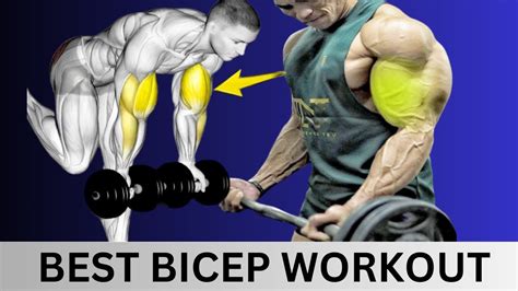 Fast Big Biceps Exercises Fastest Youtube