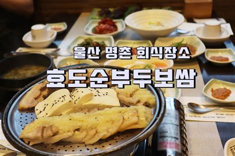 울산 명촌 회식장소 효도순두부보쌈 여기가 딱이네 네이버 블로그