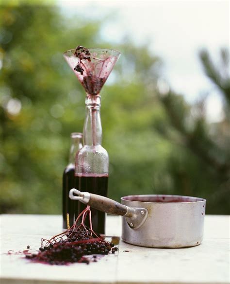 How To Make Elderberry Juice Recipe Eat Smarter USA