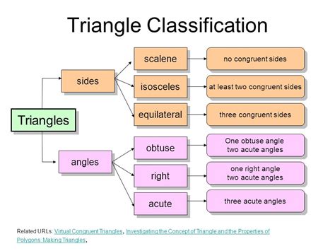 Classifying Triangles Graphic Organizer