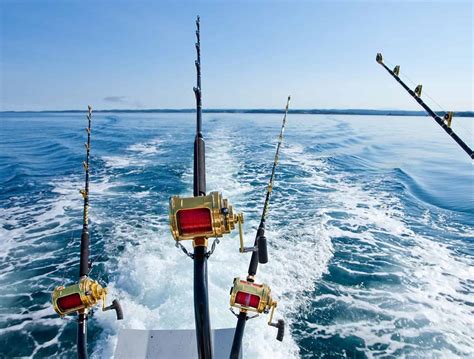 Aruba Fishing Guide | Aruba Fishing License & Fishing Regulations