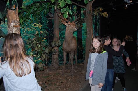 Wystawa W Muzeum Im Jacka Malczewskiego W Radomiu