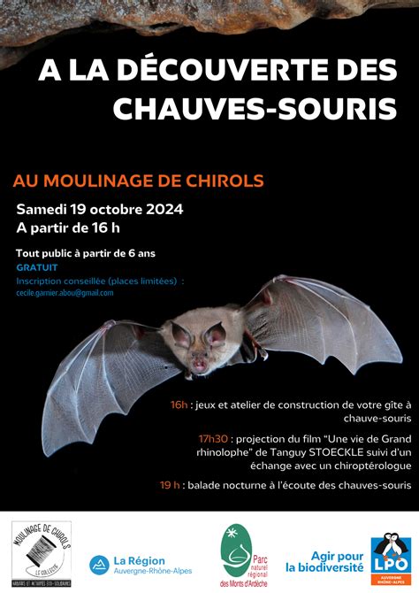 A la découverte des chauves souris Le partage des eaux