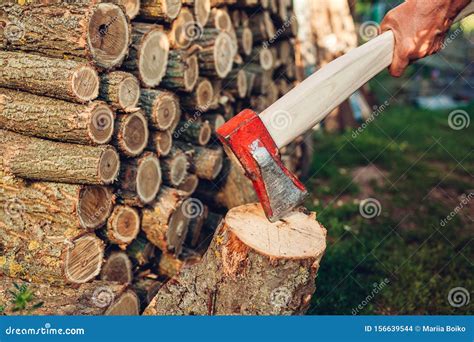 Senior Man Chopping Firewood with an Axe in Countryside Yard Stock ...