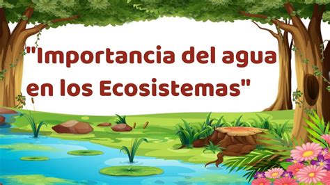 La Importancia Del Agua Para Los Ecosistemas Tratamos El Agua