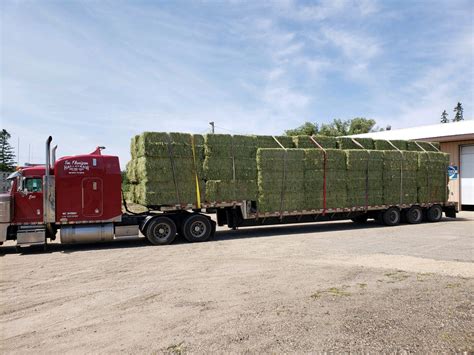 Tim Flanigan Hay Straw Hay Straw