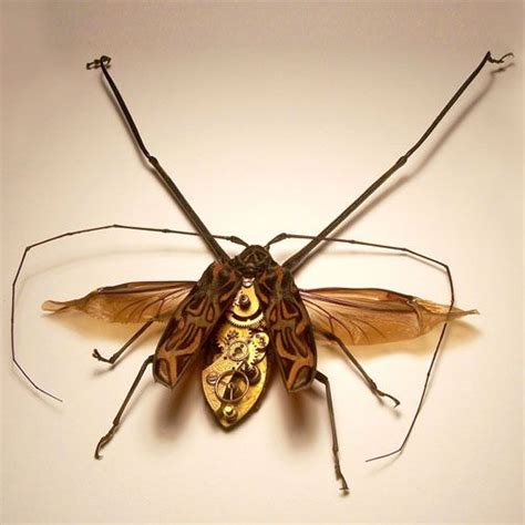 Awesome Steampunk Bugs By Mike Libby 26 Pics