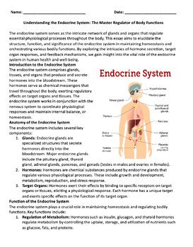 The Endocrine System Psychology Reading Passage 100 EDITABLE