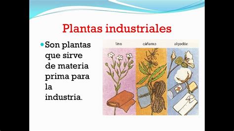 Utilidad De Las Plantas Industriales