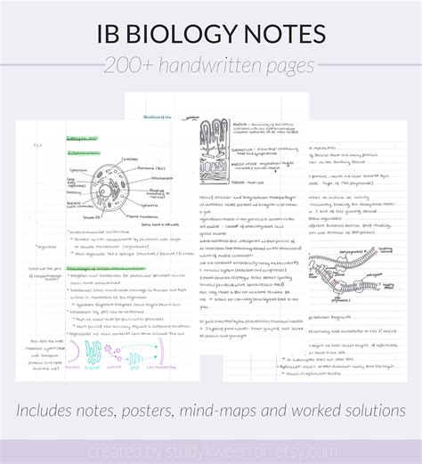 IB Biology Notes SL And HL Handwritten Revision Notes Etsy Singapore