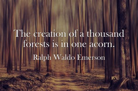 The Creation Of A Thousand Forests Is In One Acorn Quozio