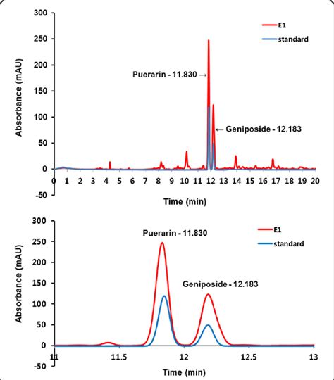 Hplc Chromatograms Of The Sc E1 At 240 Nm Download Scientific Diagram