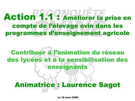 PPT Bureau danimation RECONQUÊTE OVINE PowerPoint Presentation free