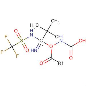 Carbamic Acid Imino Trifluoromethyl Sulfonyl Amino Methyl 1 1