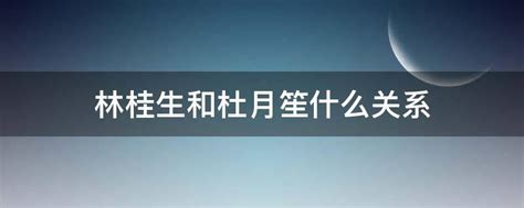 杜月笙跟林桂生什么关系杜月笙和林桂生的真实故事 参考网