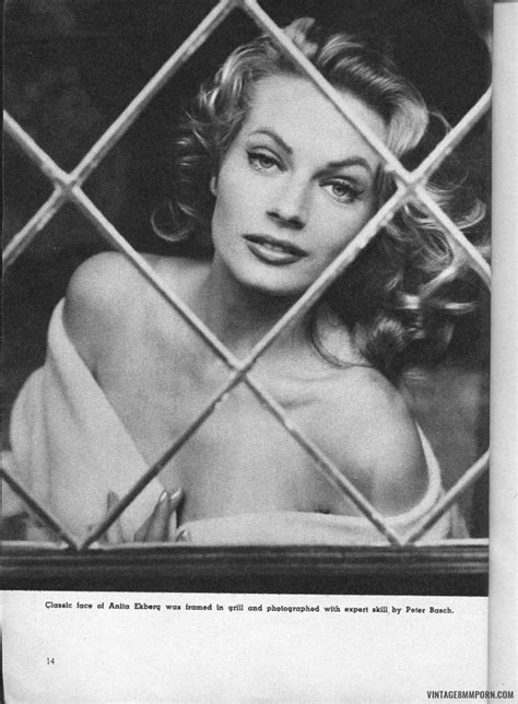 Anita Ekberg Sex Photos Porn Ddeva