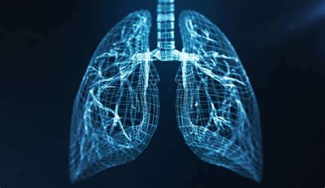 Deep Learning Tool Can Predict Lung Cancer Risk Within Six Years