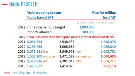 Sri Lanka Plans To Import Mt Of Rice No Immediate Shortage