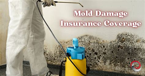 Mold Damage Insurance Coverage Kamm Insurance Group