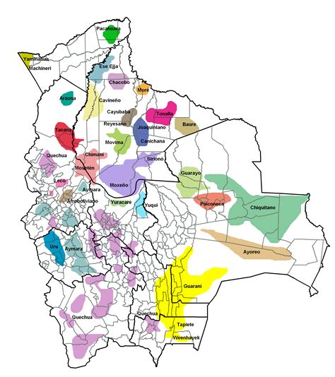 Indigenous languages of Bolivia [2370 x 2672] : MapPorn