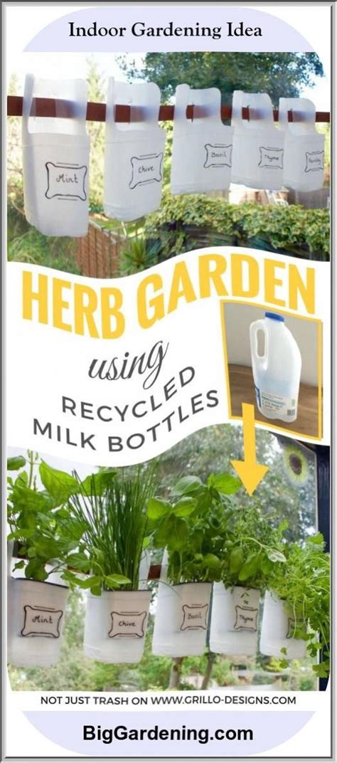 Indoor Bottle Herb Garden From Recycled Milk Bottles Grillo