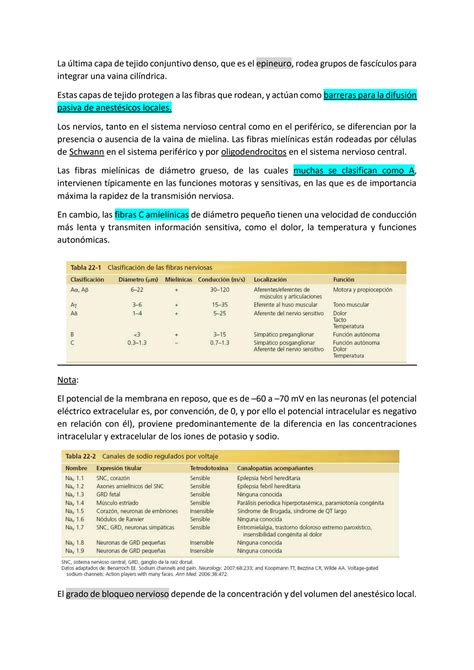 SOLUTION Anestésicos locales opioides Studypool