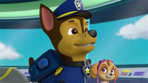 Paw Patrol S E B Welpen Retten K Nguru Pups Save A Roo