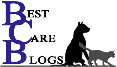 Best Care Pet Hospital In Omaha, Nebraska