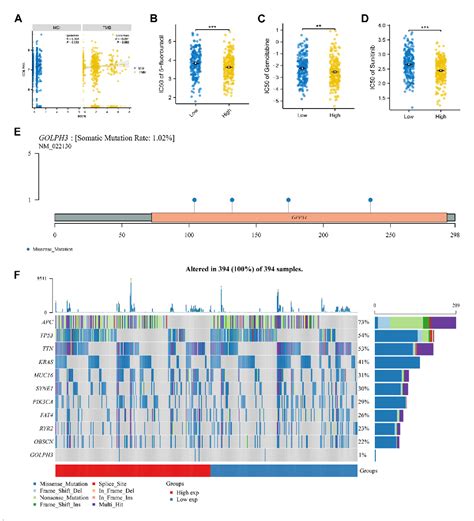 Figure 2 From Upregulation Of GOLPH3 Mediated By Bisphenol A Promotes