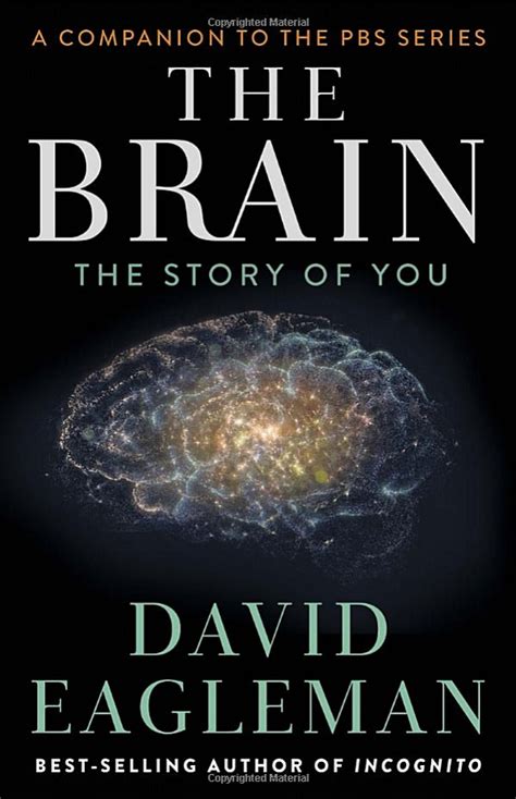 ‘the Brain The Story Of You