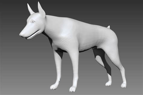 3d Model Doberman Base Mesh For Zbrush Cgtrader