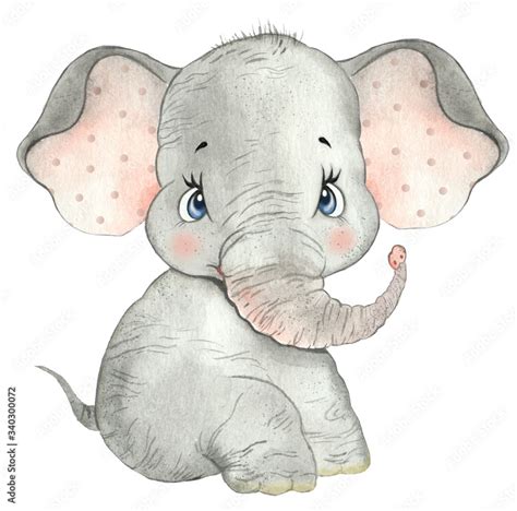 Watercolor drawing of a cute baby elephant, little elephant, cute elephant, nursery, zoo, safari ...