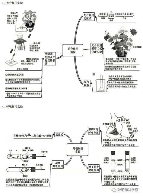 2020年浙教版中考生化实验复习思维导图杭州学而思1对1