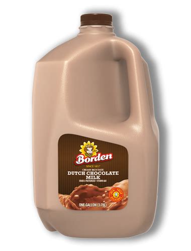 Dutch Chocolate Milk Borden Dairy