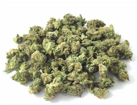 White Widows Small Bud Cbd Premium Bio