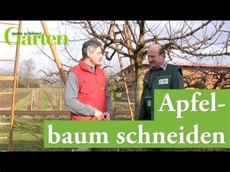 Apfelbaum Schneiden Tipps F R Jede Baumgr E Apfelb Ume Schneiden