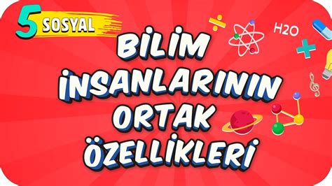 S N F Sosyal Bilim Nsanlar N N Ortak Zellikleri Youtube