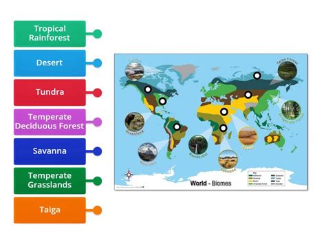 Biomes Map - Labelled diagram