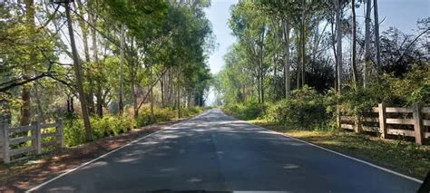 Solo Driving Sathyamangalam Forest Reserve & Dimbhum Ghat, Mysore to ...