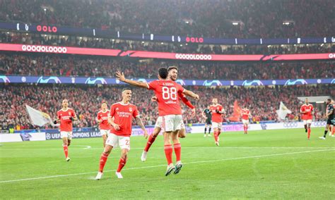 Benfica Club Brugge Crónica Futebol Champions Sl Benfica