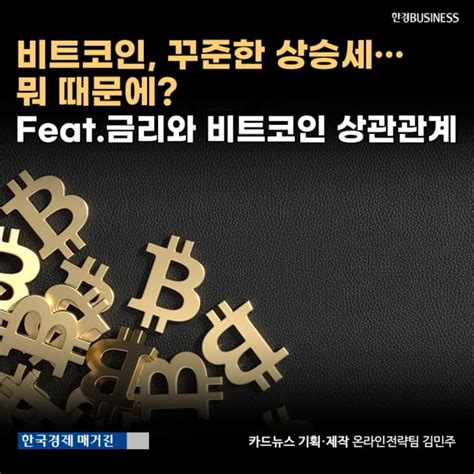 카드뉴스비트코인 꾸준한 상승세 뭐 때문에 Feat금리와 비트코인 상관관계 │ 매거진한경