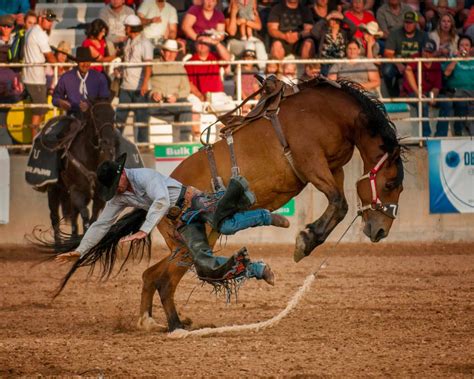 Ute Stampede Rodeo Juab Is